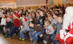 Arbre De Nol Spf   003